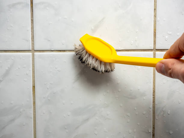 Best Mold Removal Near Me  in Orofino, ID
