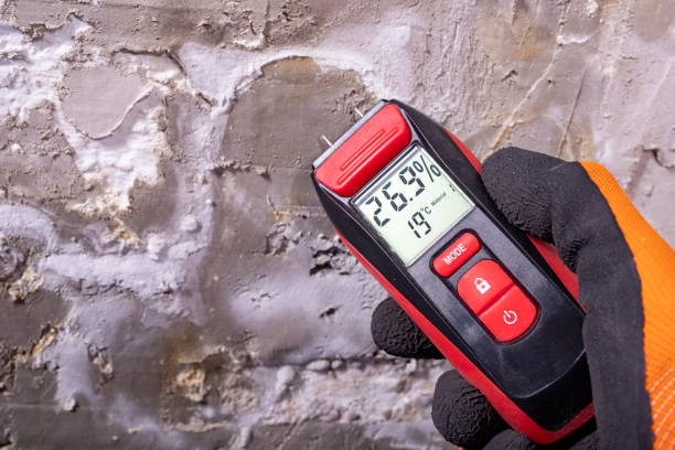 Best Mold Testing and Removal  in Orofino, ID