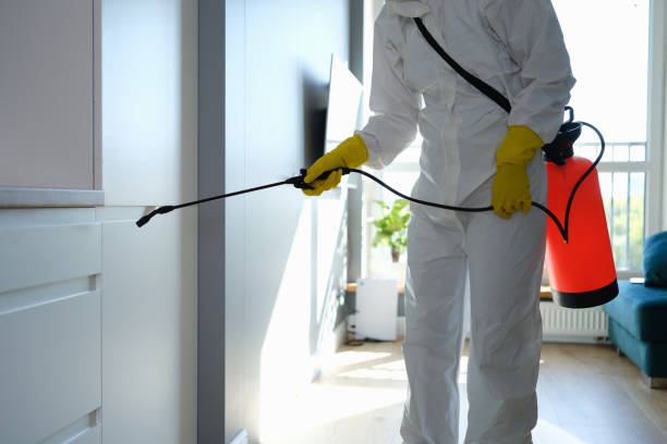 Mold Testing and Removal in Orofino, ID