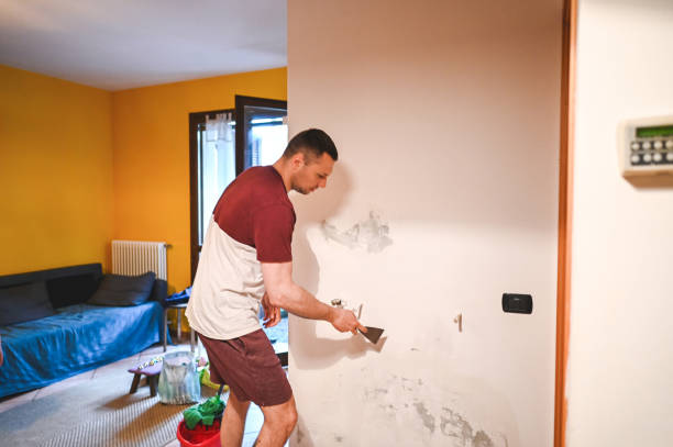 Best Home Mold Removal  in Orofino, ID